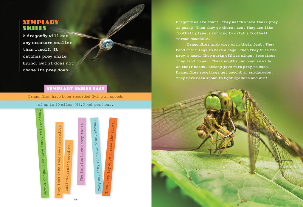 X-Books: Insects: Dragonflies by The Creative Company