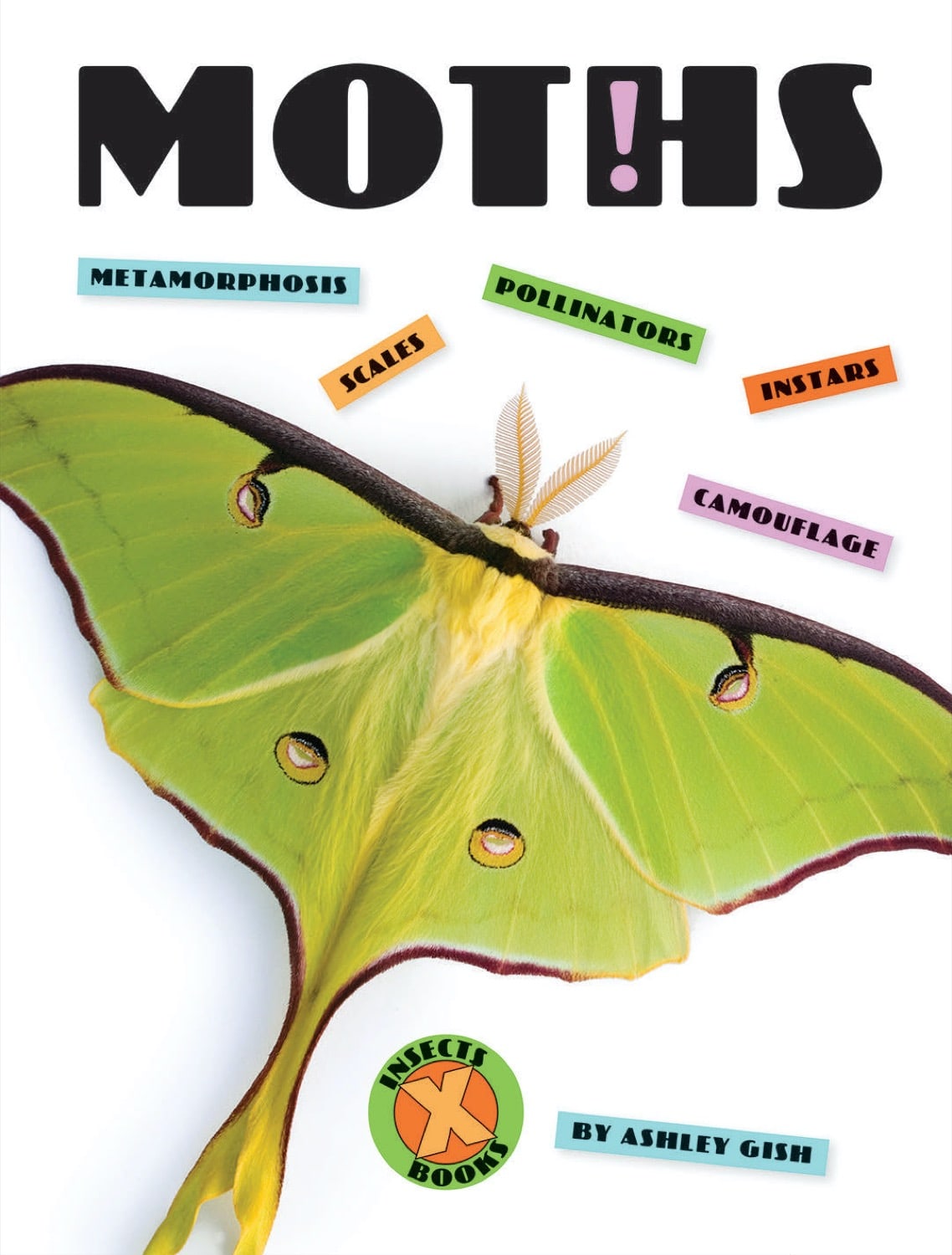 X-Books: Insects: Moths by The Creative Company