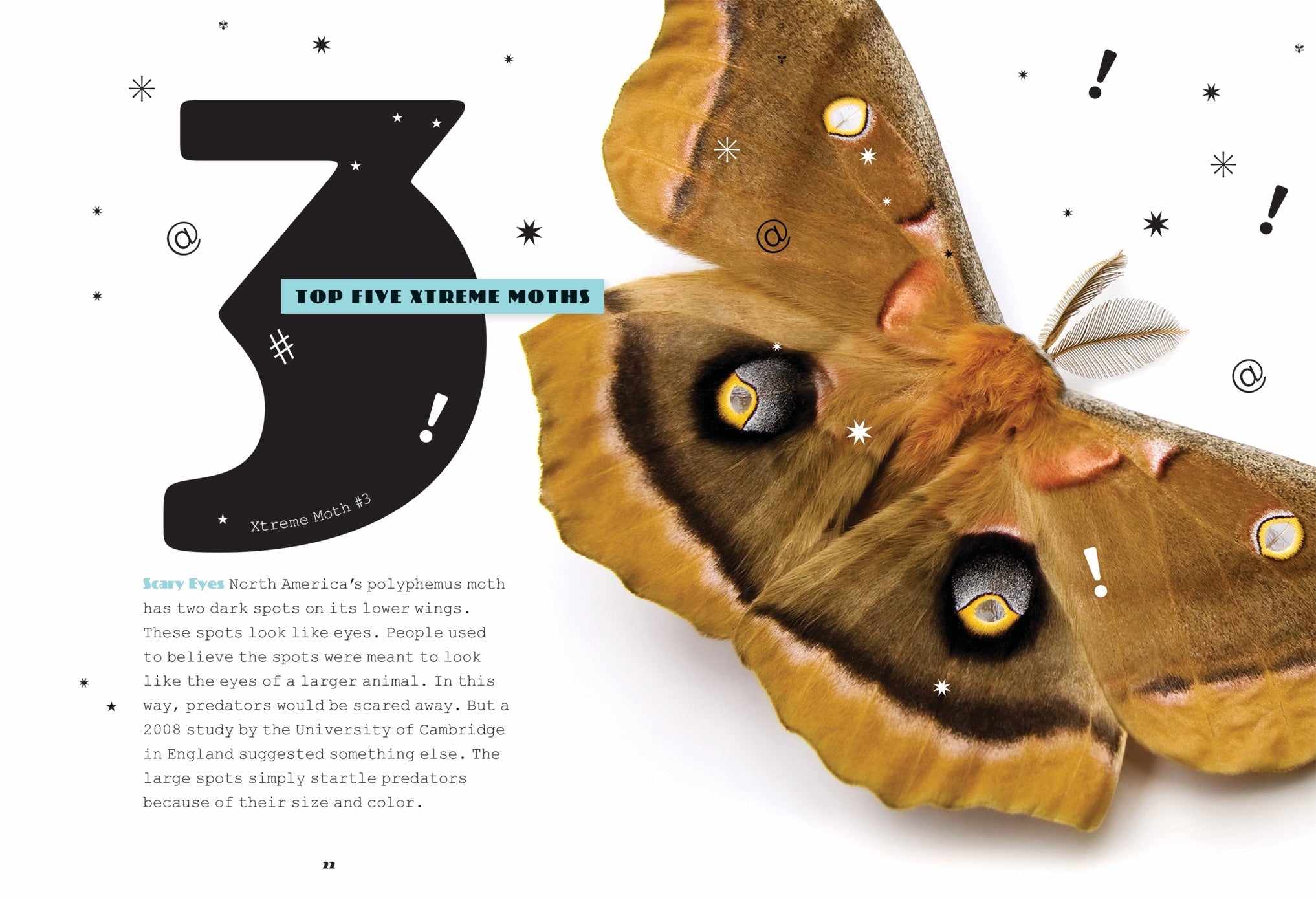 X-Books: Insects: Moths by The Creative Company