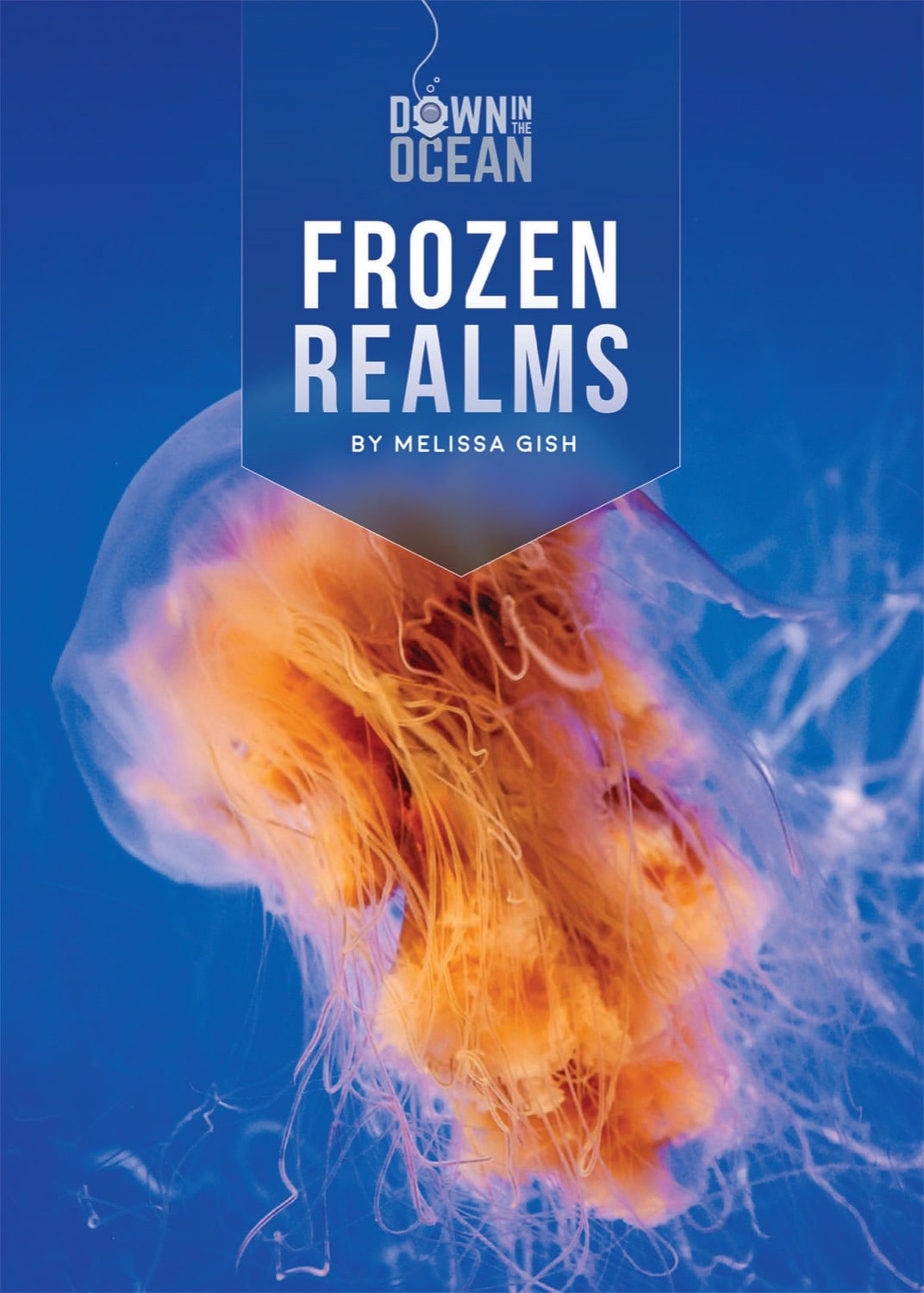 Down in the Ocean: Frozen Realms by The Creative Company