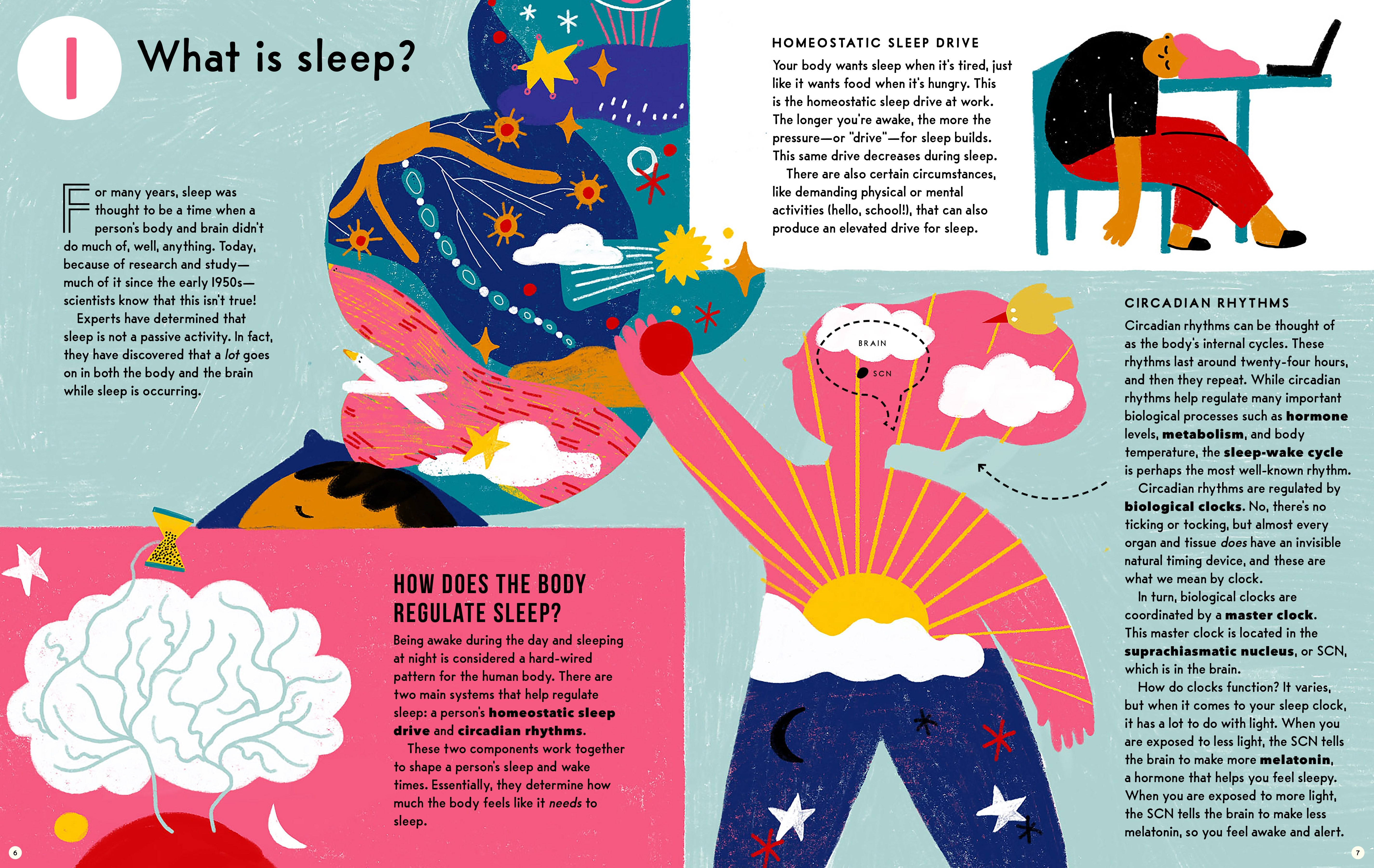 Sleep: A Kid's Guide To The Science Of Slumber