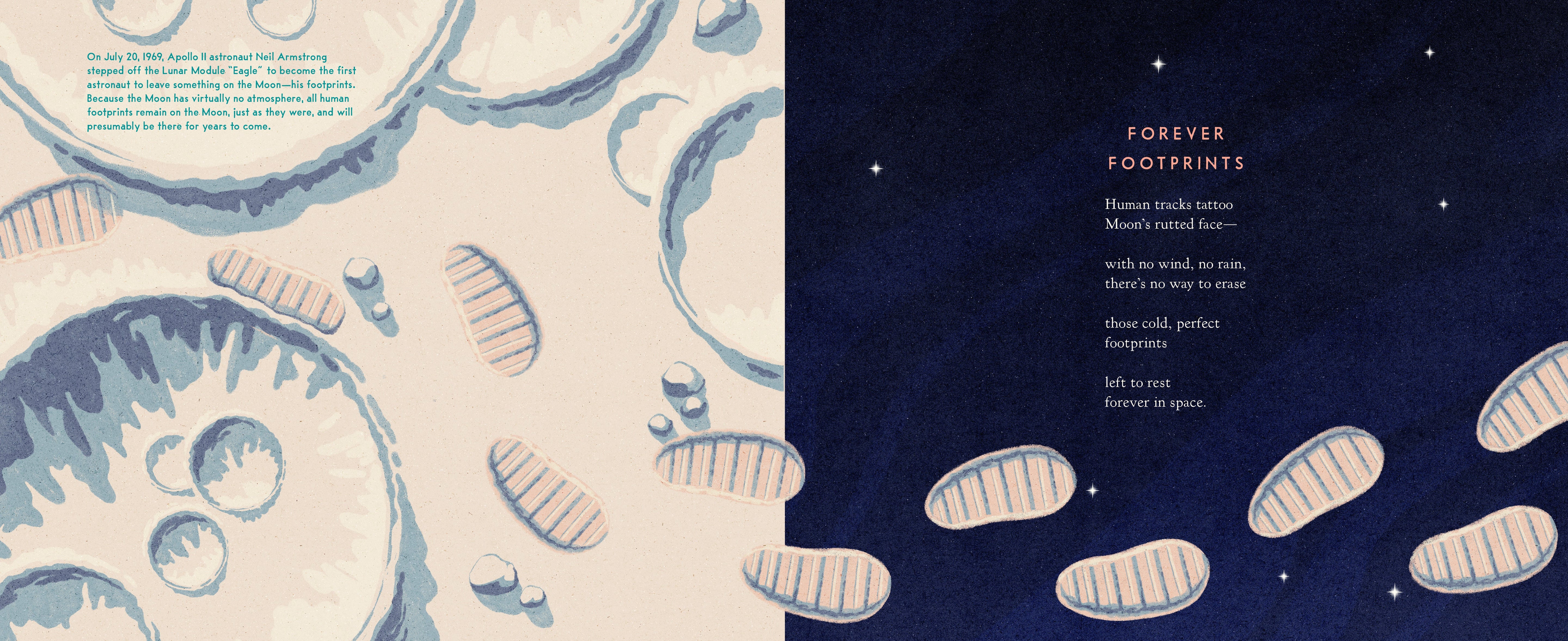 The Museum On The Moon