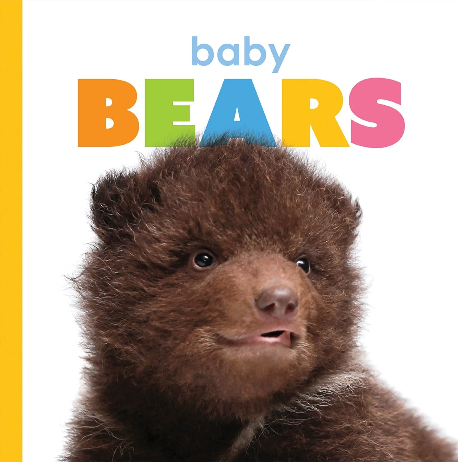 Starting Out: Baby Bears by The Creative Company