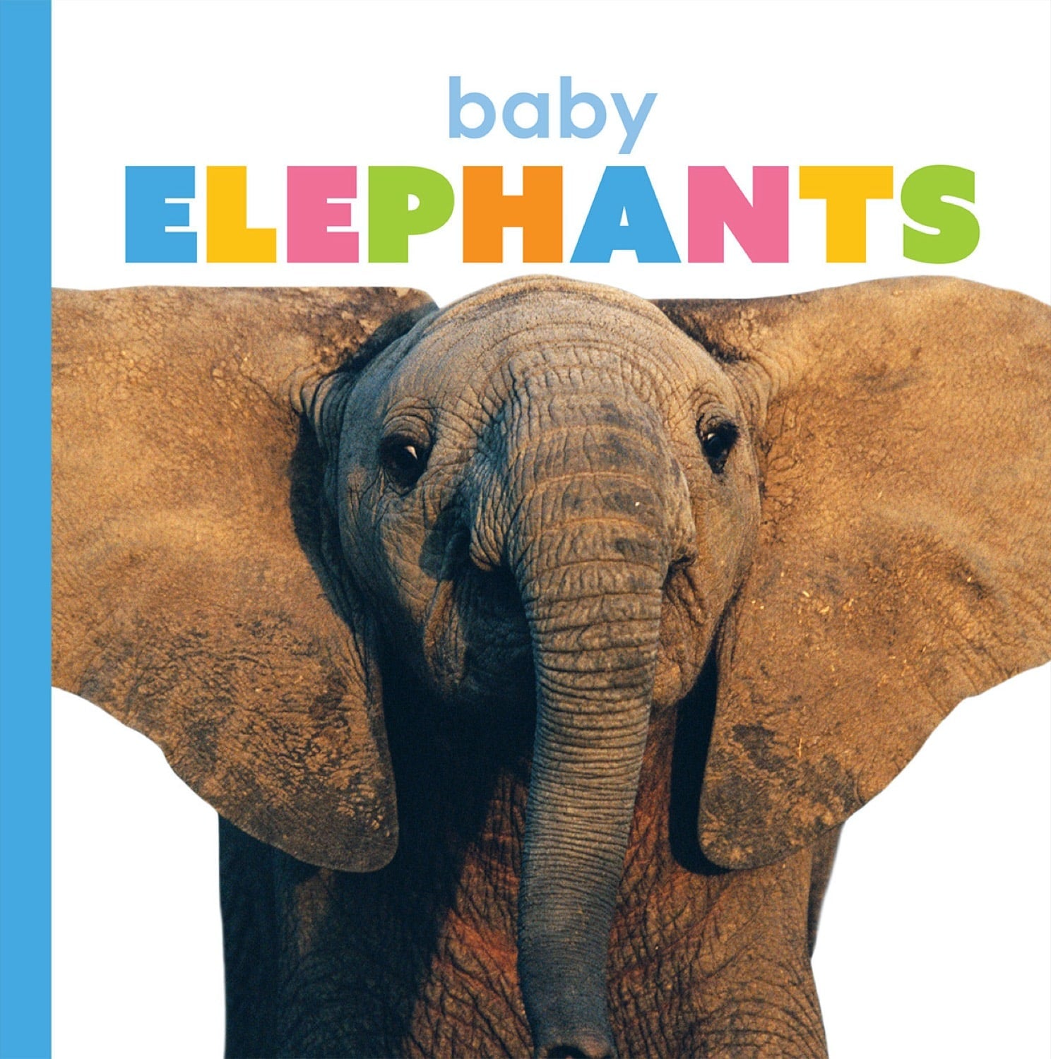 Starting Out: Baby Elephants by The Creative Company