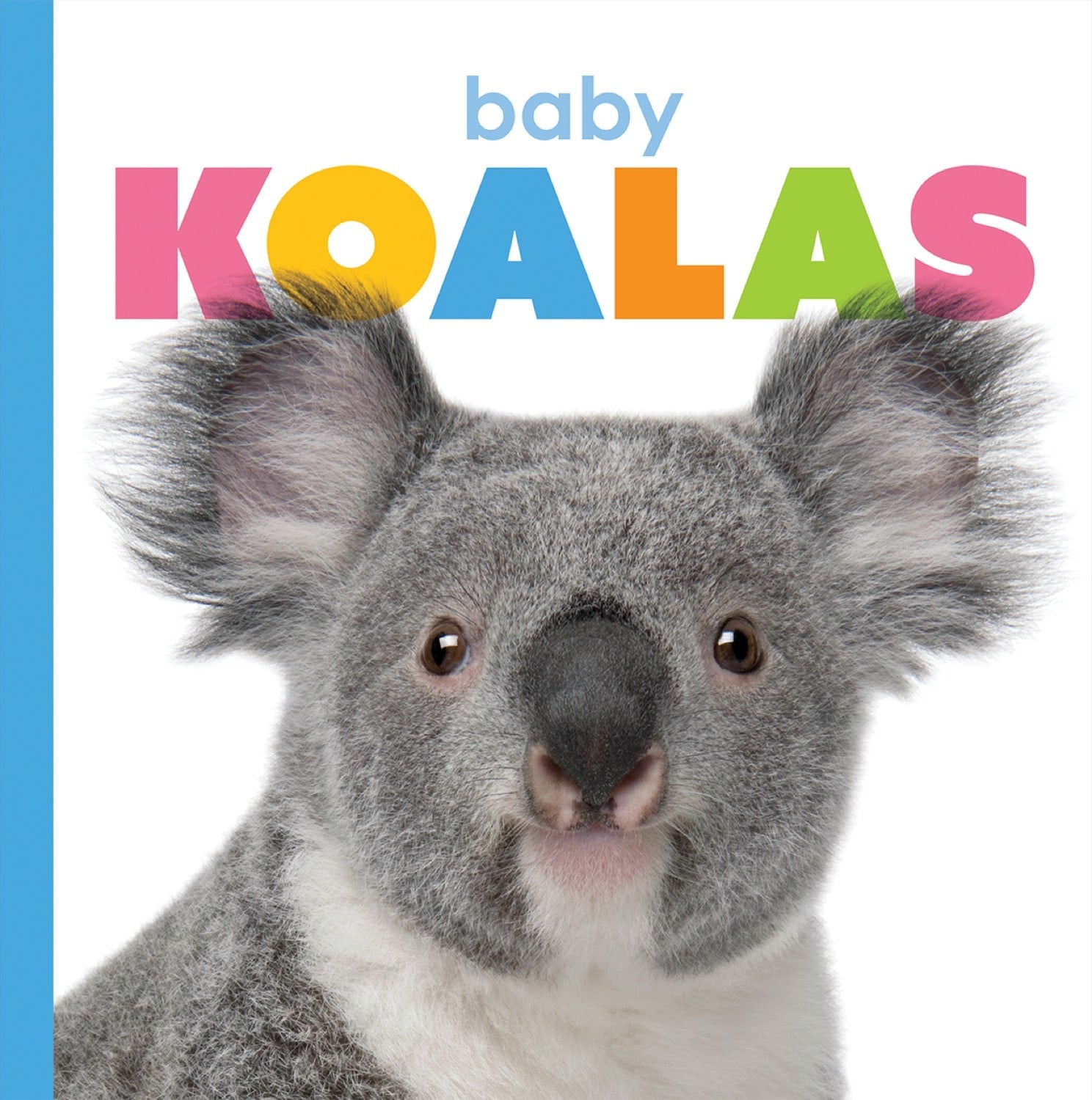 Starting Out: Baby Koalas by The Creative Company