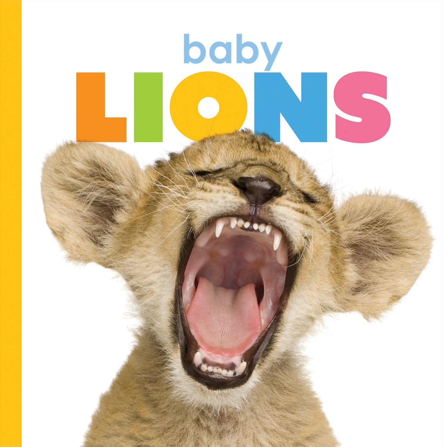 Starting Out: Baby Lions by The Creative Company