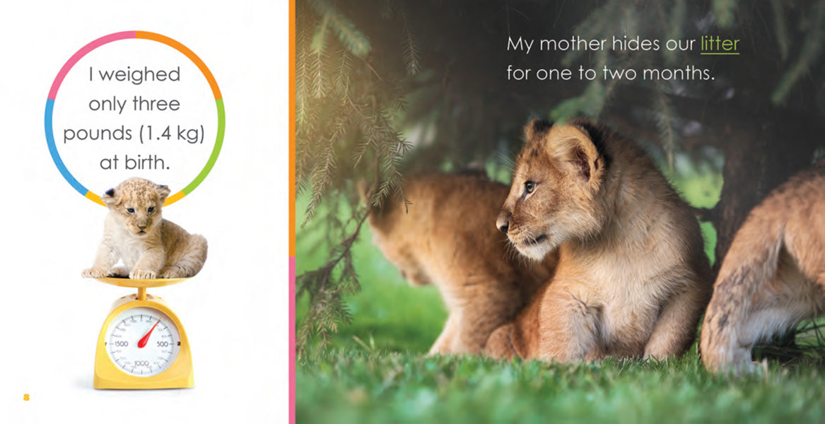 Starting Out: Baby Lions by The Creative Company