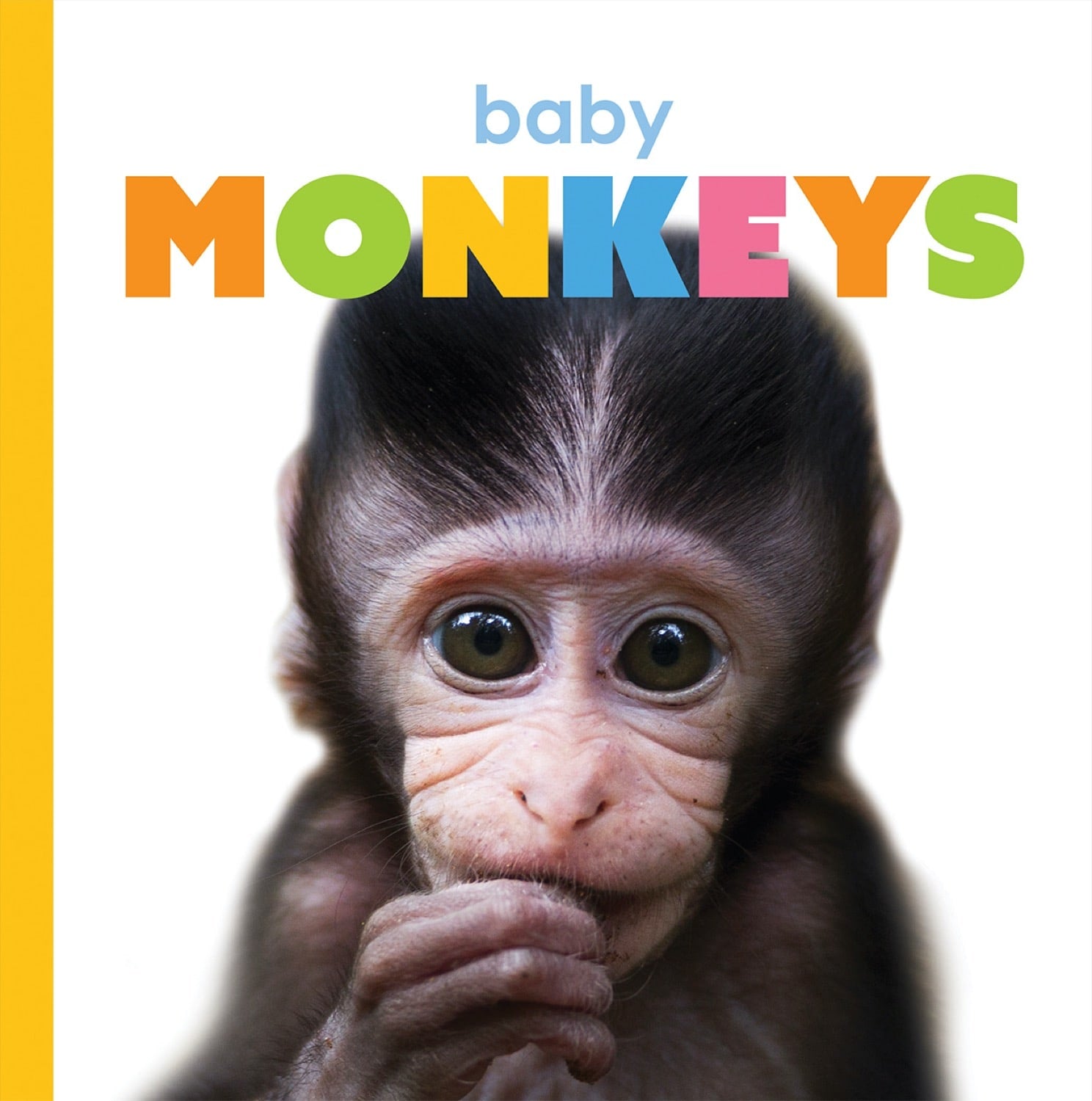 Starting Out: Baby Monkeys by The Creative Company