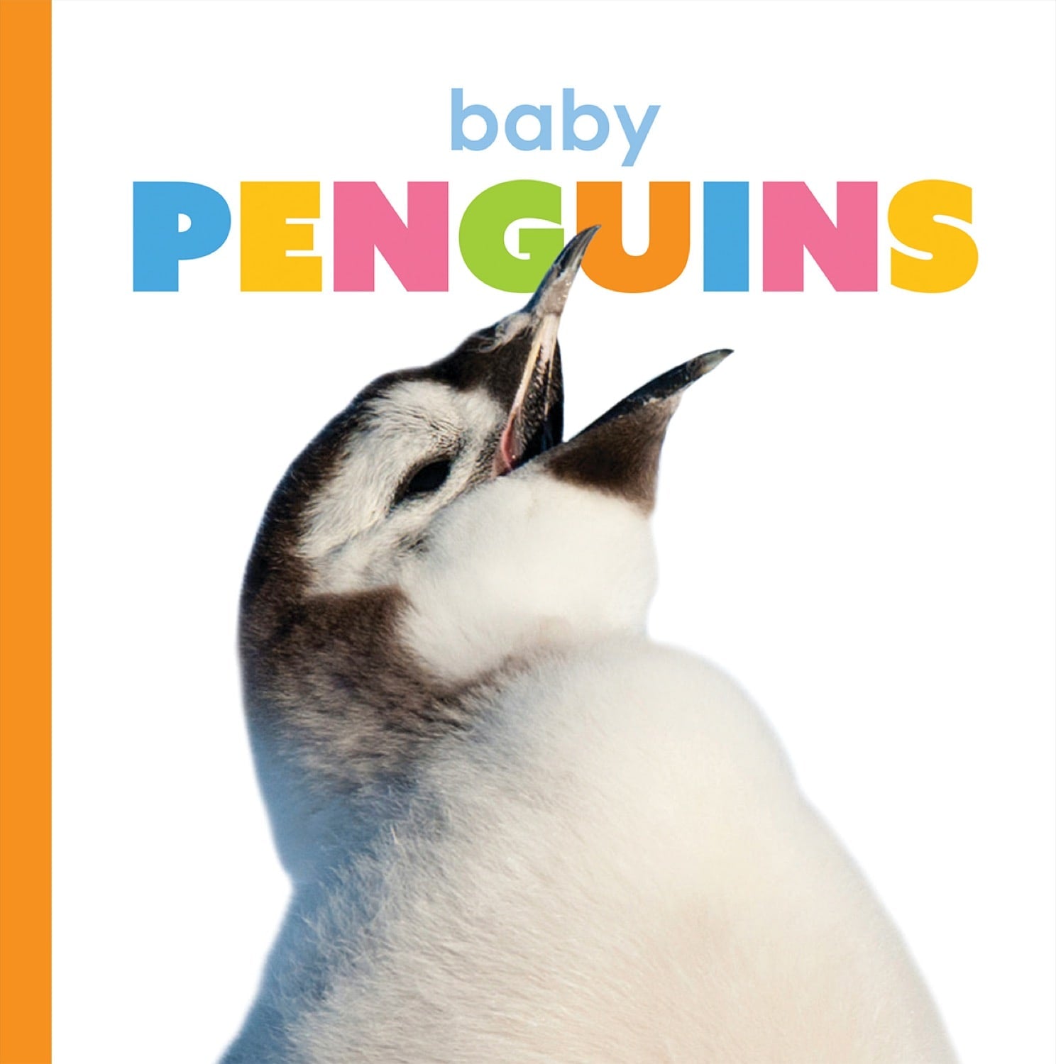 Starting Out: Baby Penguins by The Creative Company