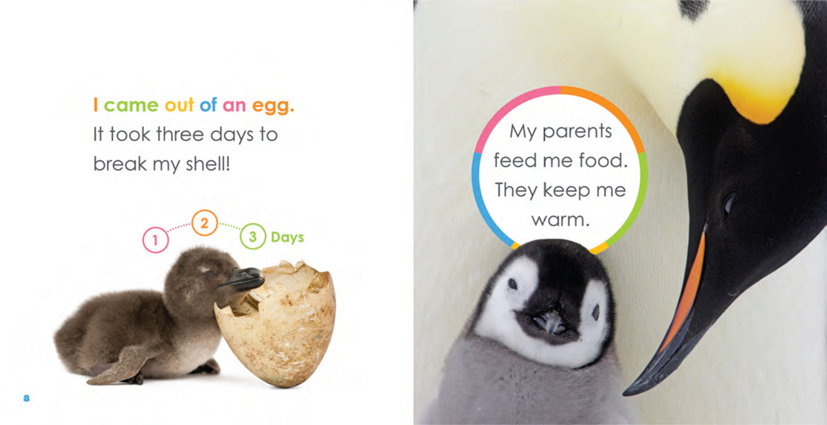 Starting Out: Baby Penguins by The Creative Company