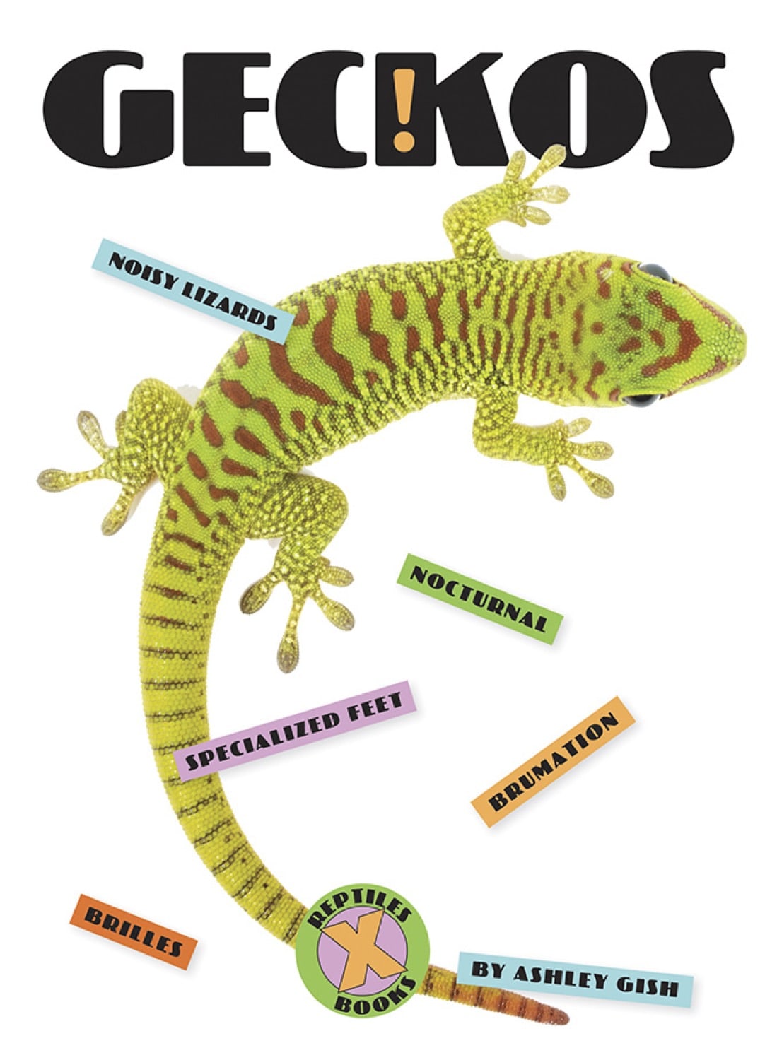 X-Books: Reptiles: Geckos by The Creative Company