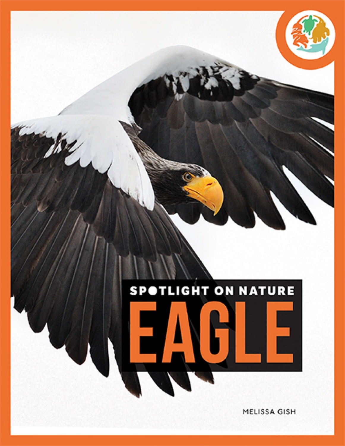 Spotlight on Nature: Eagle by The Creative Company