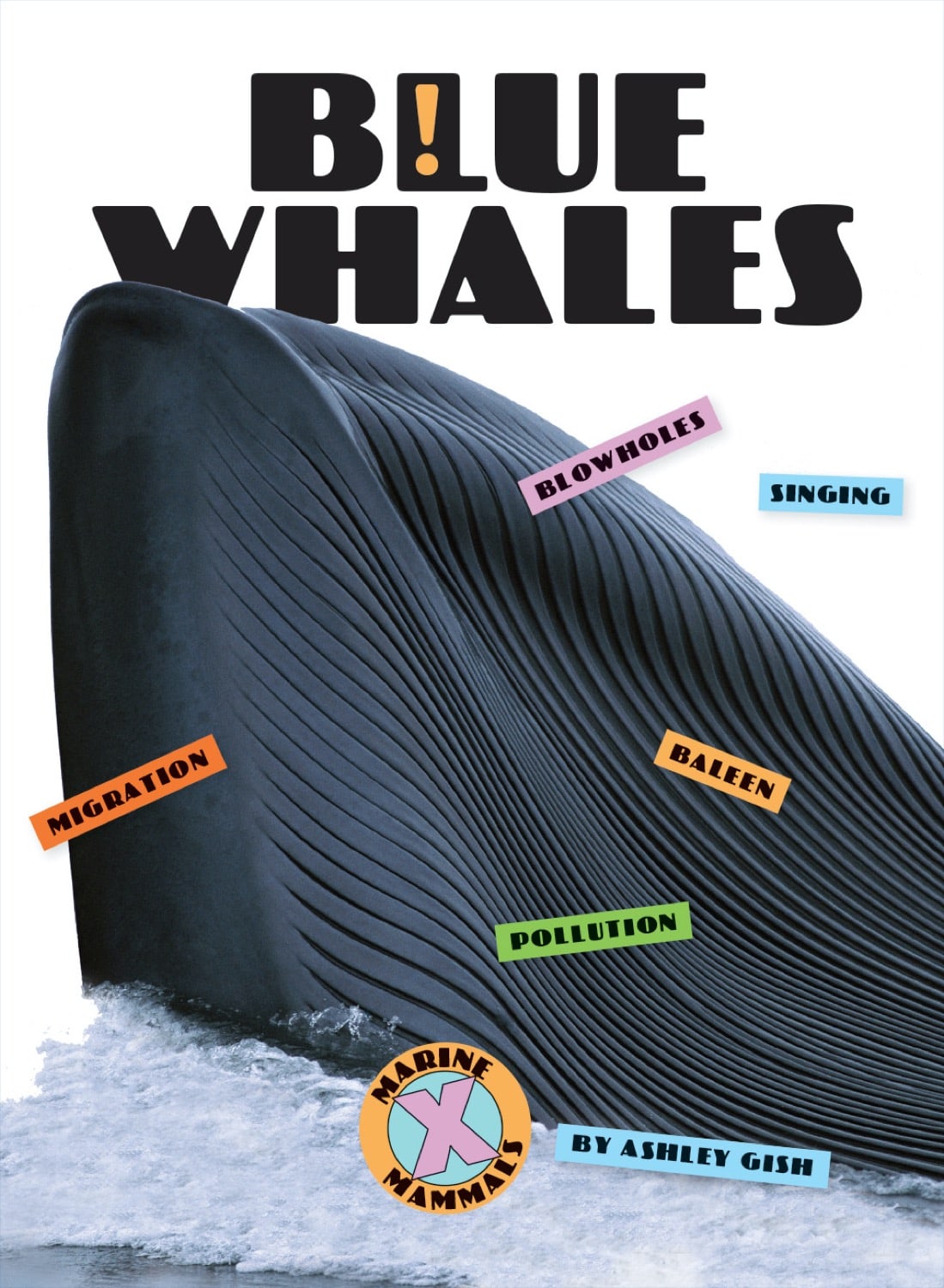 X-Books: Marine Mammals: Blue Whales by The Creative Company