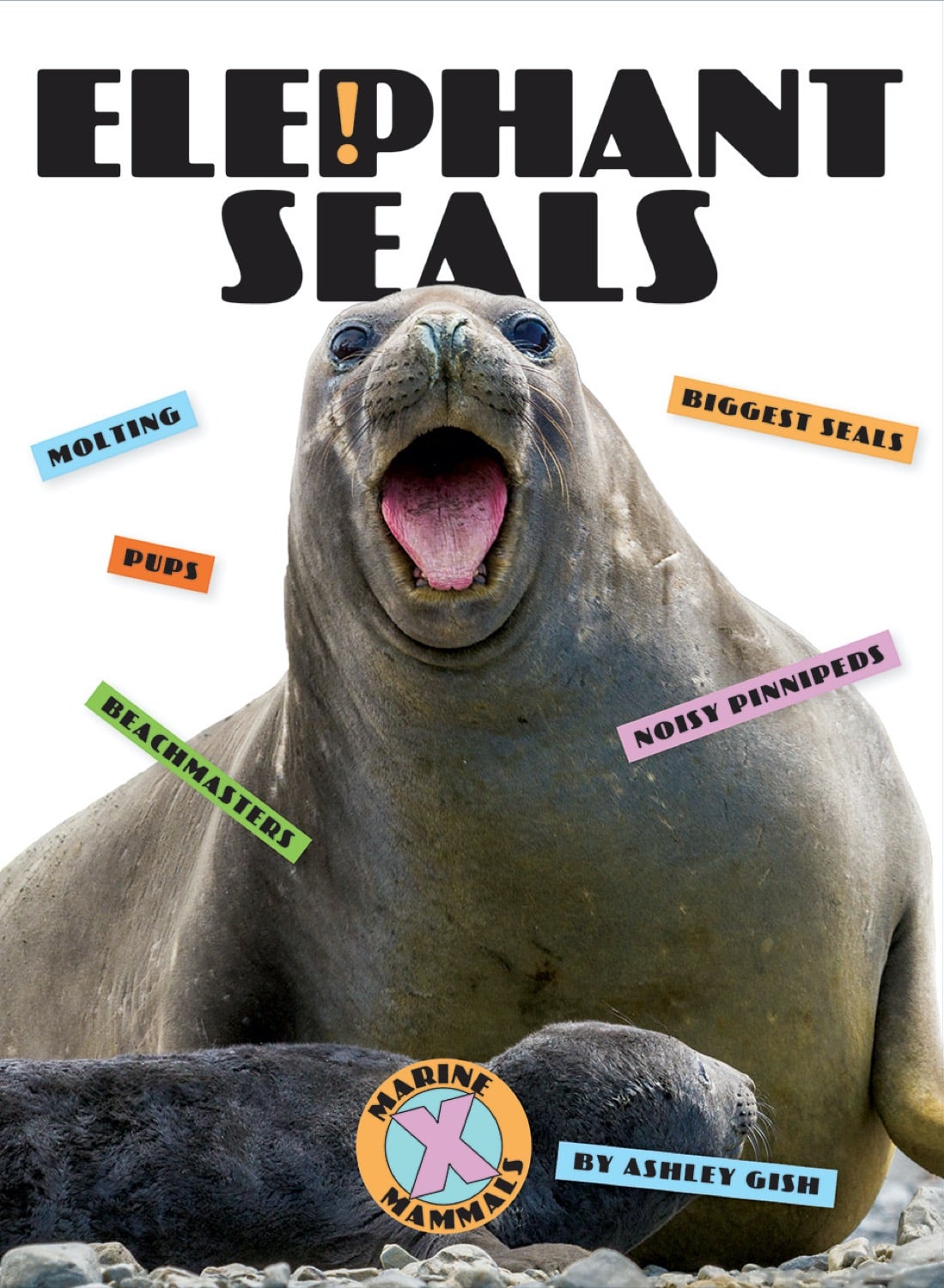 X-Books: Marine Mammals: Elephant Seals by The Creative Company