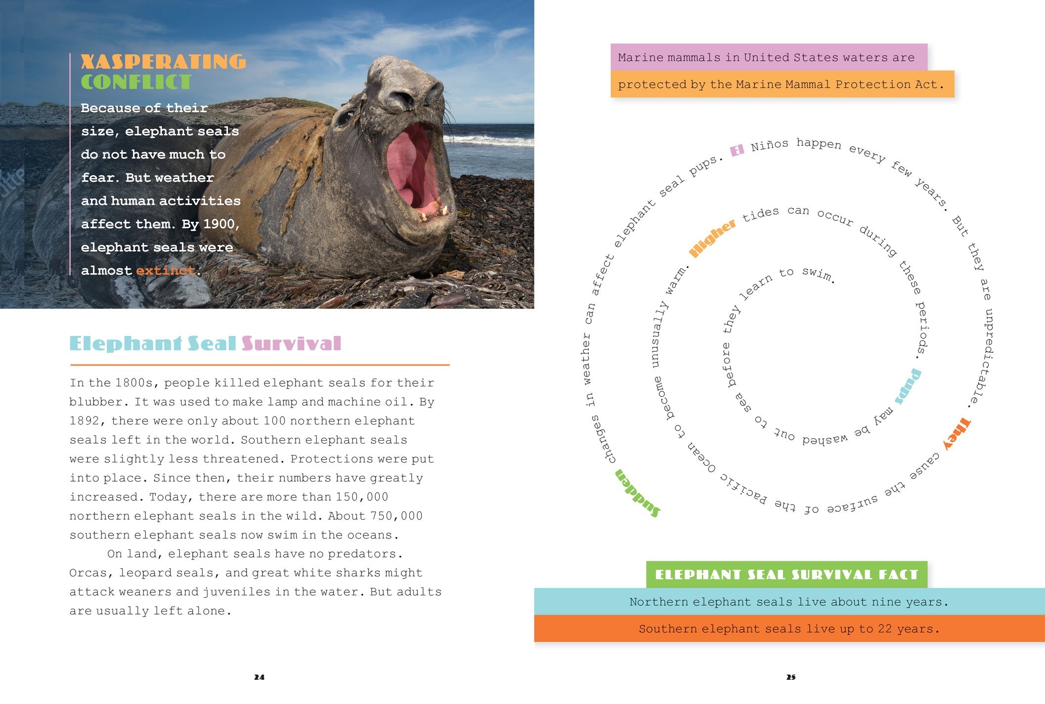 X-Books: Marine Mammals: Elephant Seals by The Creative Company