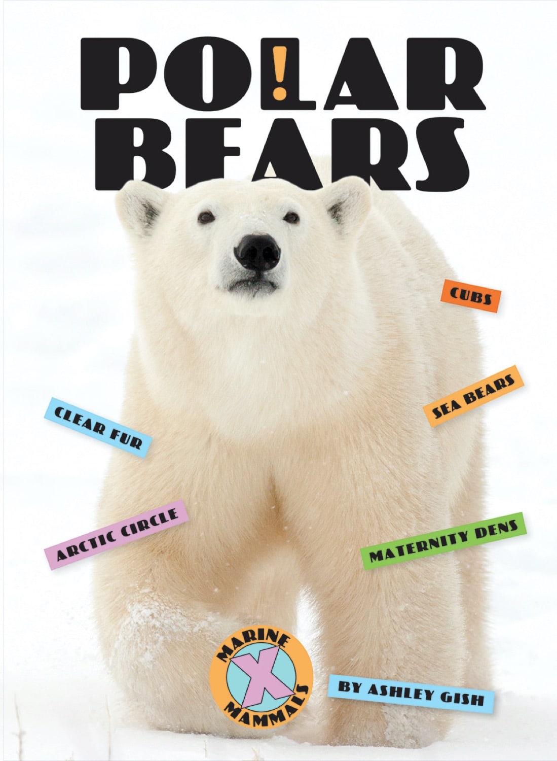 X-Books: Marine Mammals: Polar Bears by The Creative Company