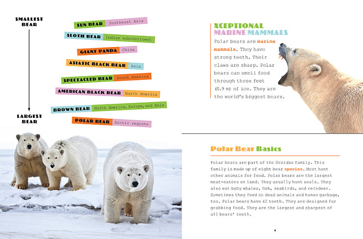 X-Books: Marine Mammals: Polar Bears by The Creative Company