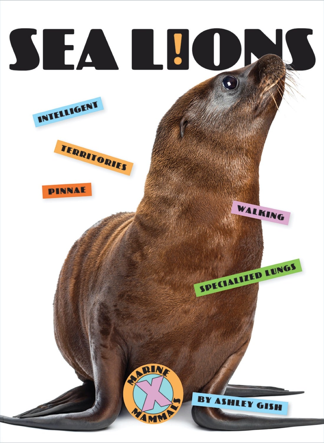 X-Books: Marine Mammals: Sea Lions by The Creative Company