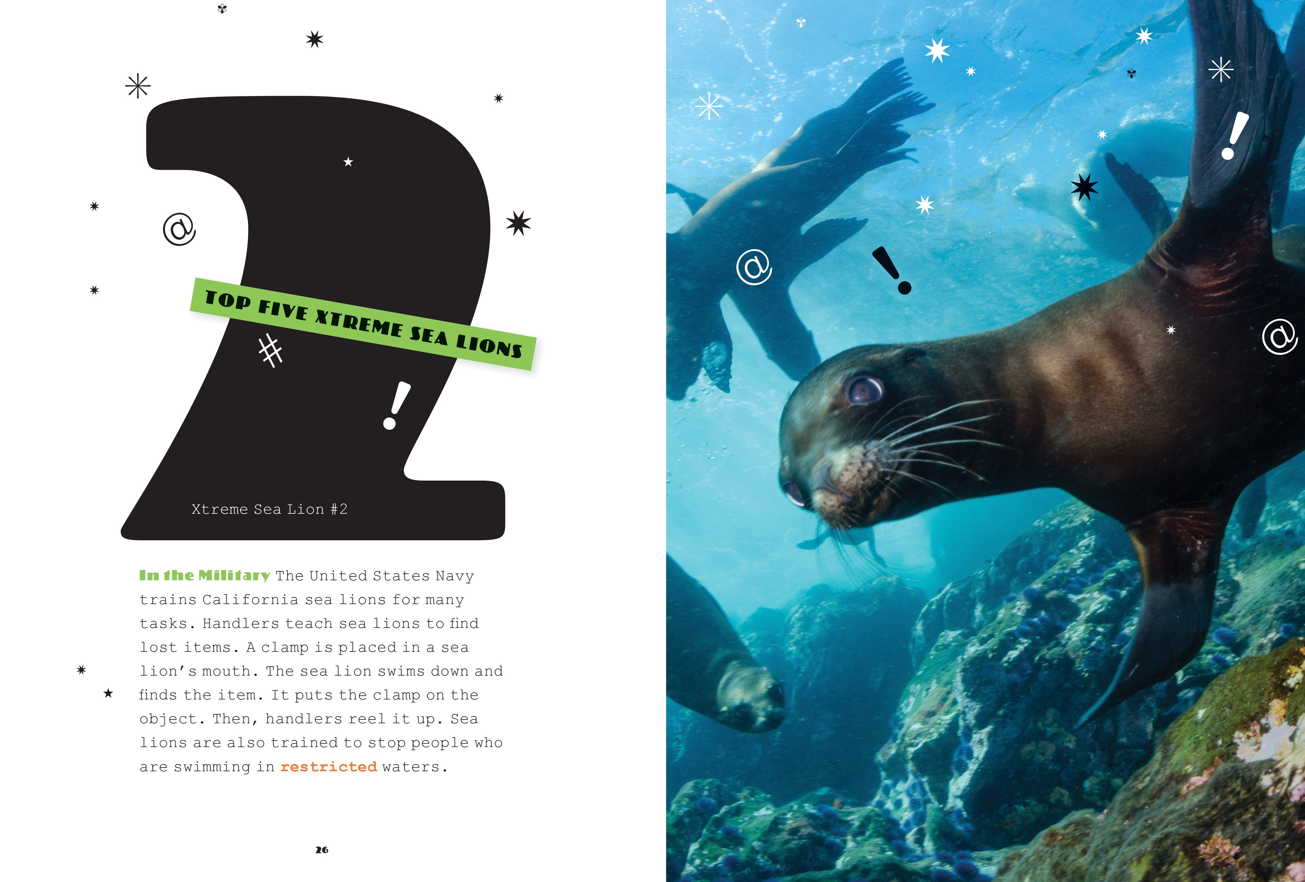 X-Books: Marine Mammals: Sea Lions by The Creative Company