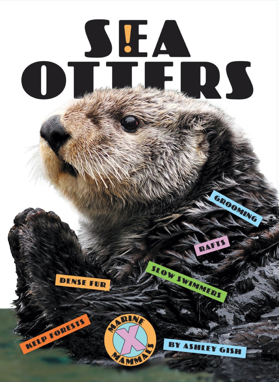 X-Books: Marine Mammals: Sea Otters by The Creative Company