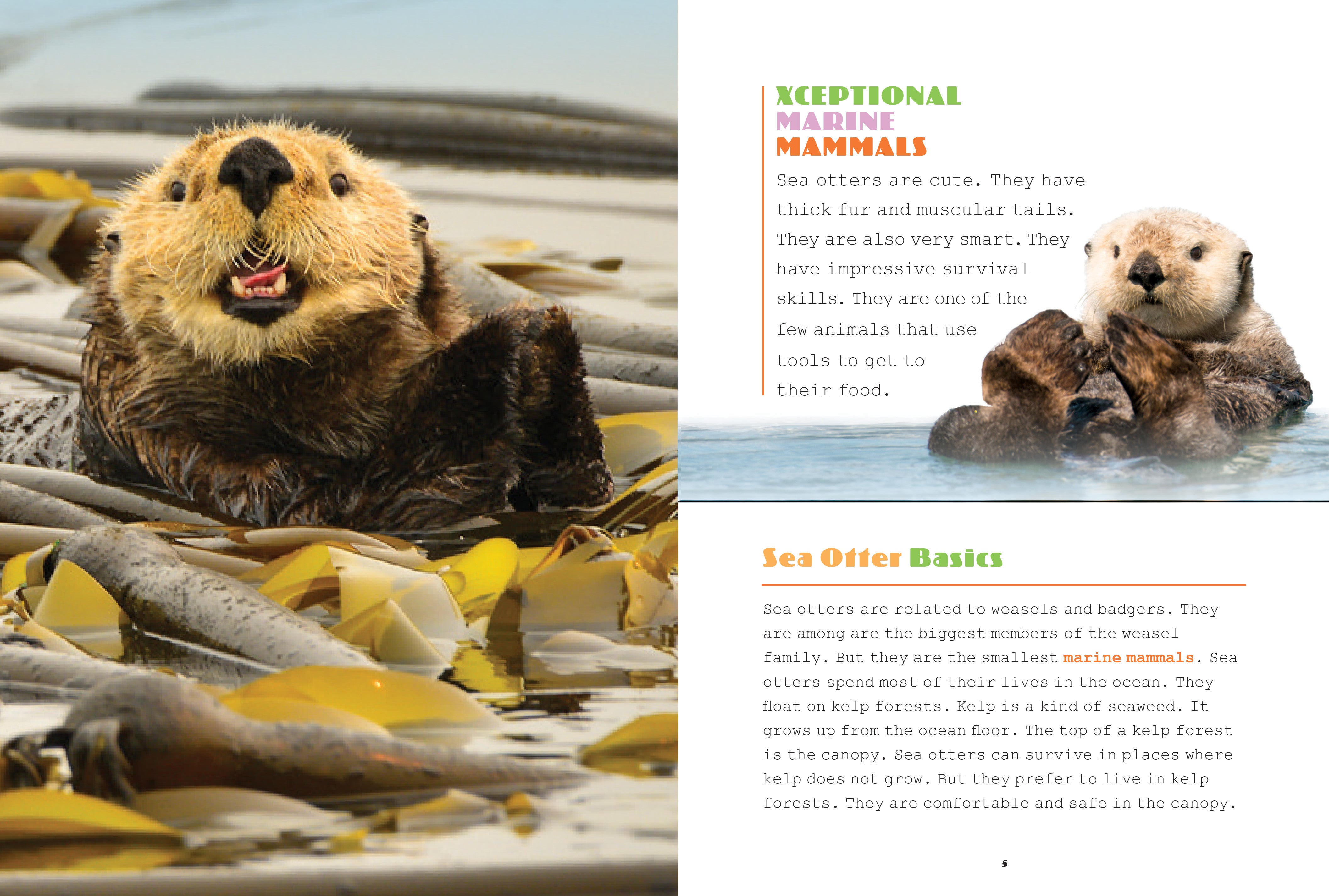 X-Books: Marine Mammals: Sea Otters by The Creative Company