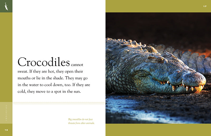 Amazing Animals (2022): Crocodiles by The Creative Company