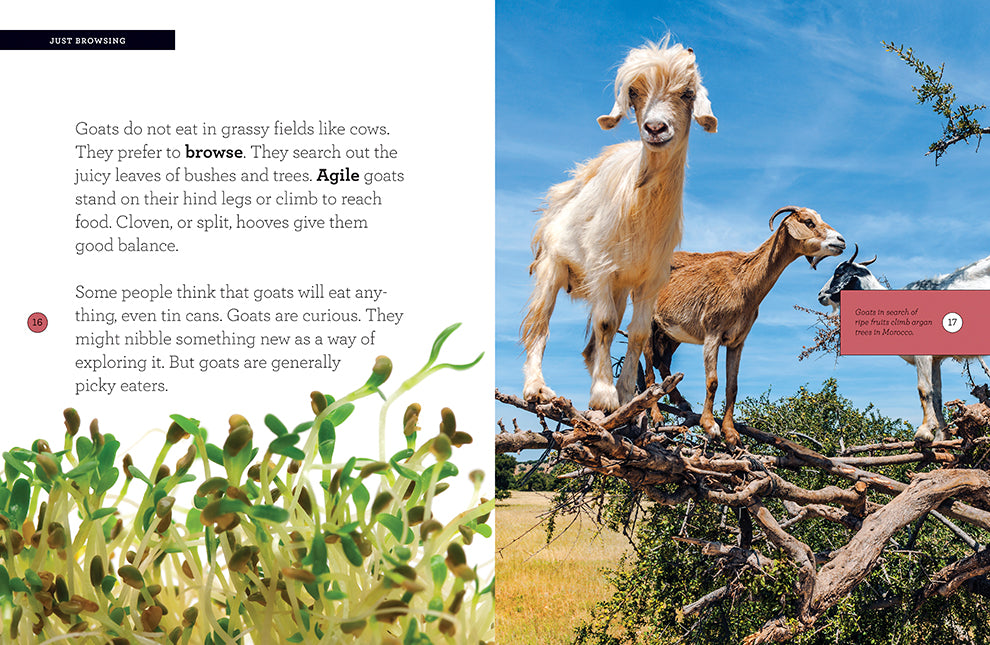 Grow with Me: Goats by The Creative Company