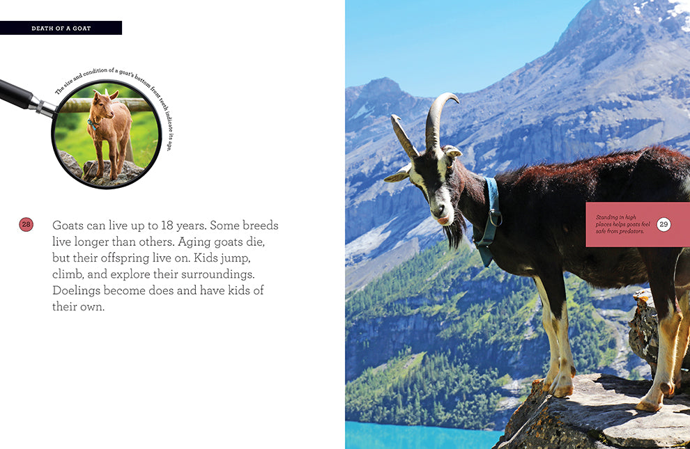 Grow with Me: Goats by The Creative Company