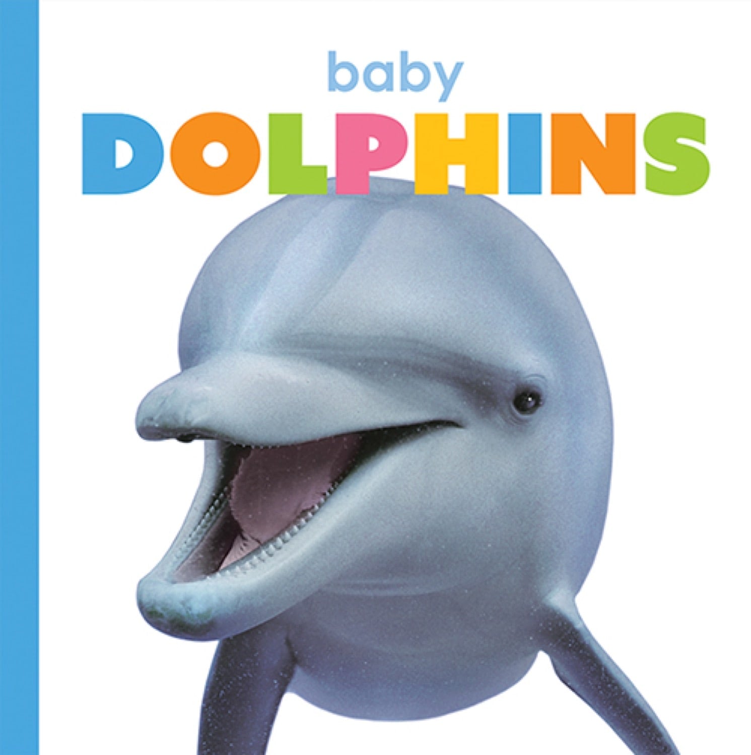 Starting Out: Baby Dolphins by The Creative Company