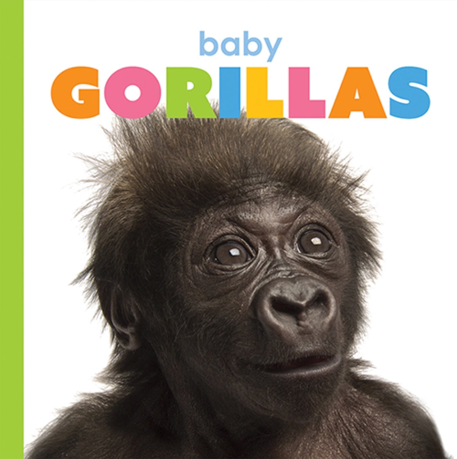 Starting Out: Baby Gorillas by The Creative Company