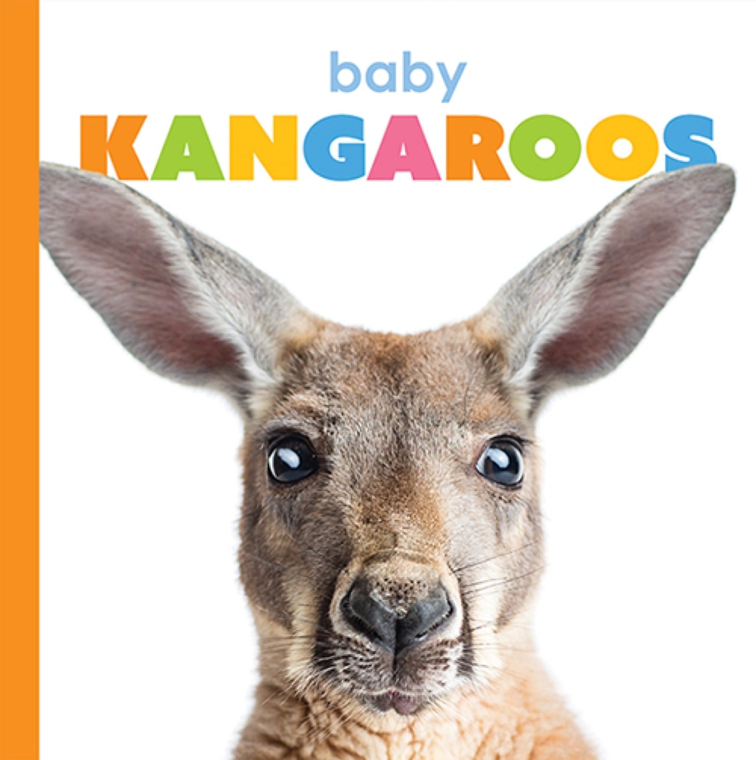 Starting Out: Baby Kangaroos by The Creative Company