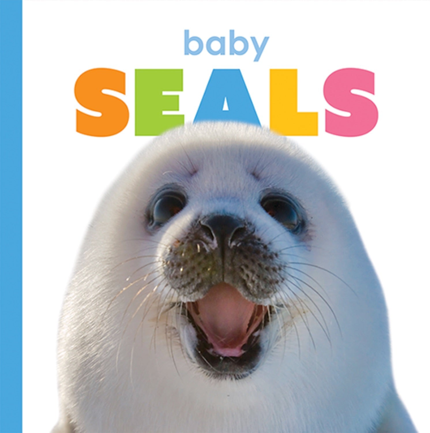 Starting Out: Baby Seals by The Creative Company