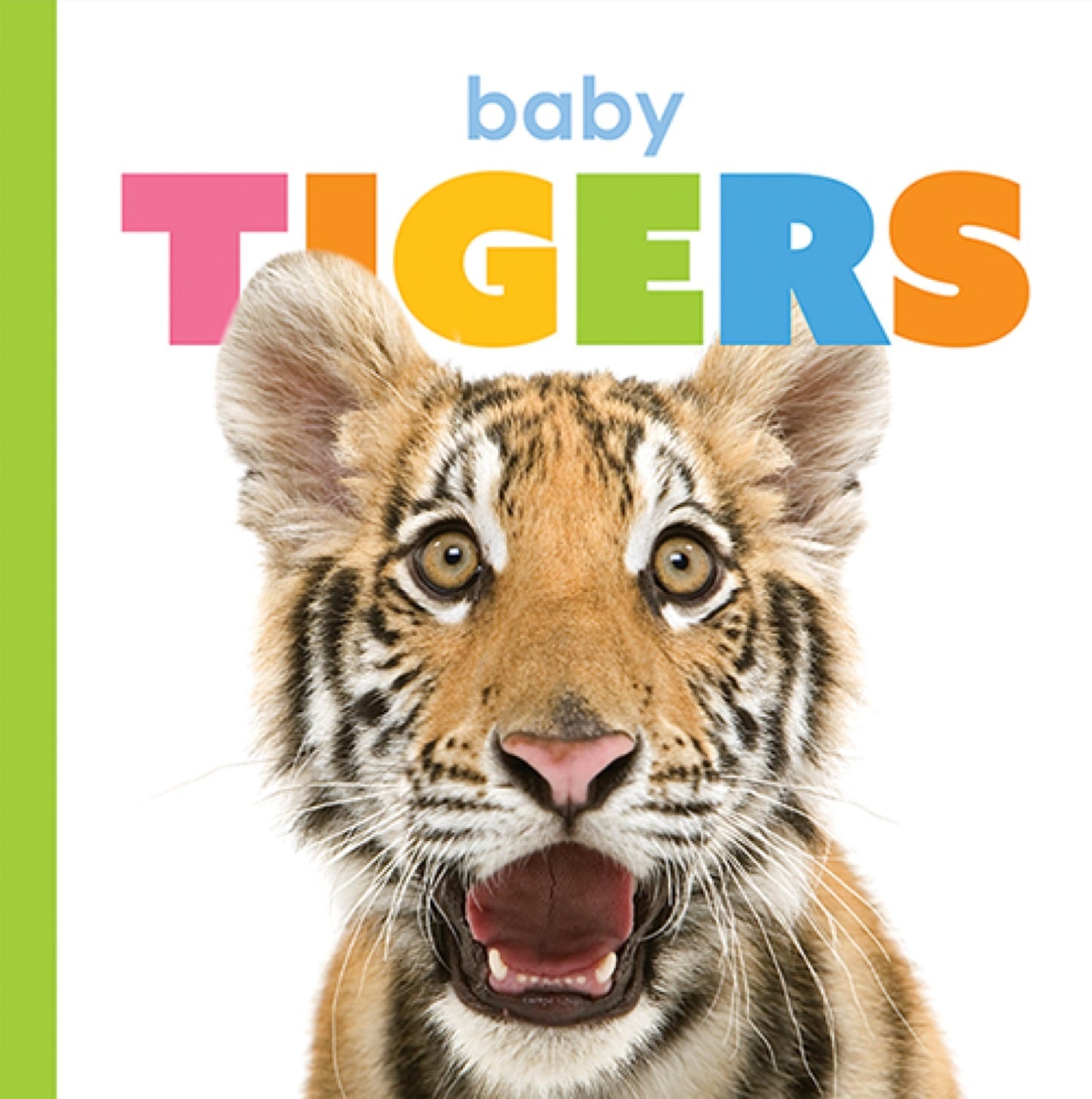 Starting Out: Baby Tigers by The Creative Company