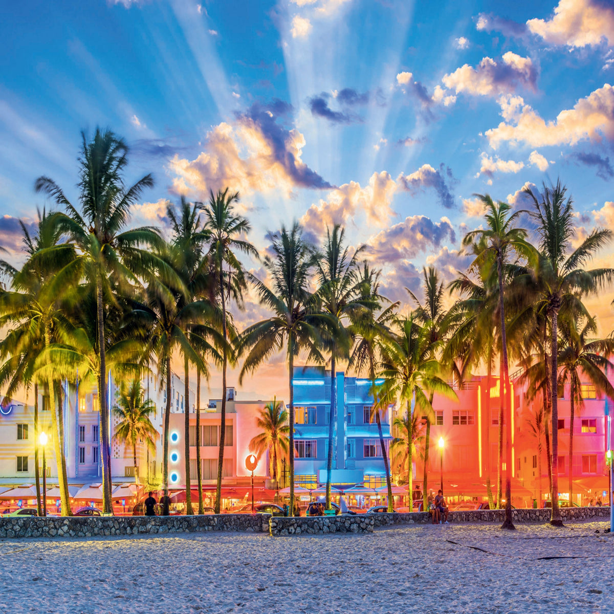 Red Miami, Florida 1000 Piece Puzzle