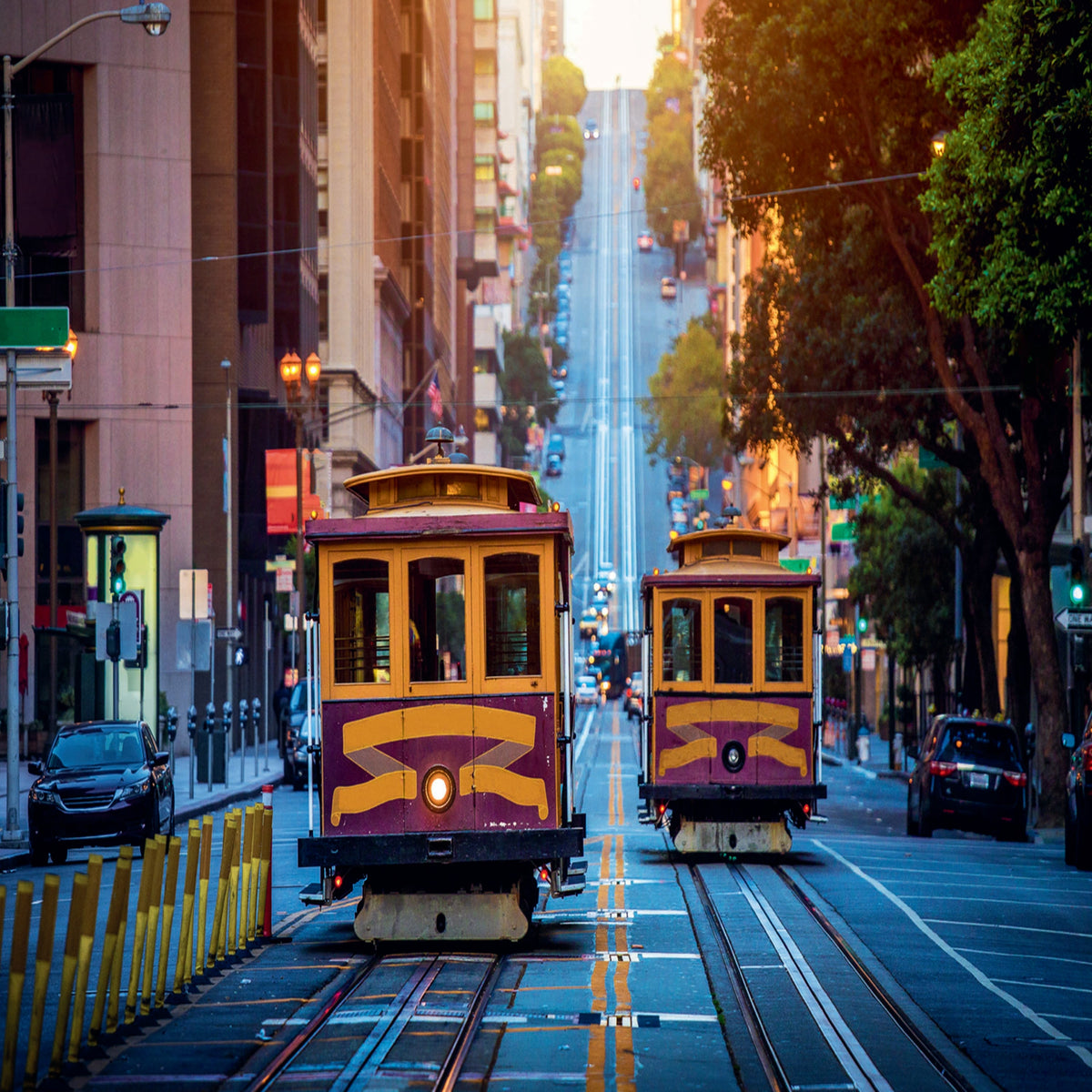 Red Cable Cars 1000 Piece Puzzle