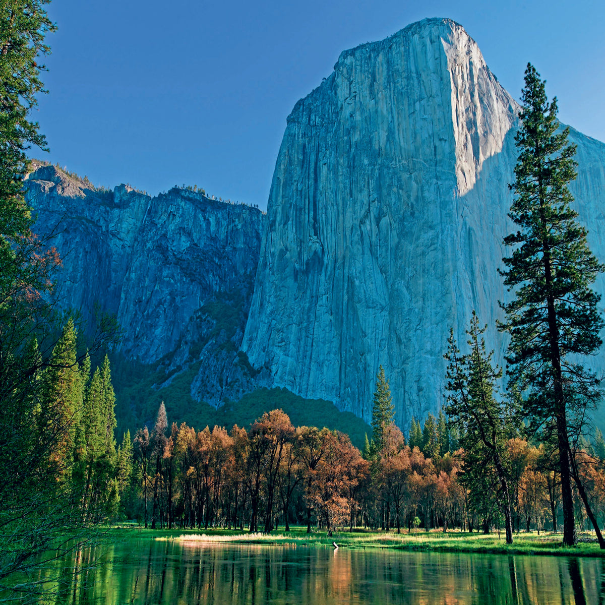 Red El Capitan At Sunrise 1000 Piece Puzzle