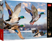 Premium Plus Mallards In Flight 1000 Piece Puzzle