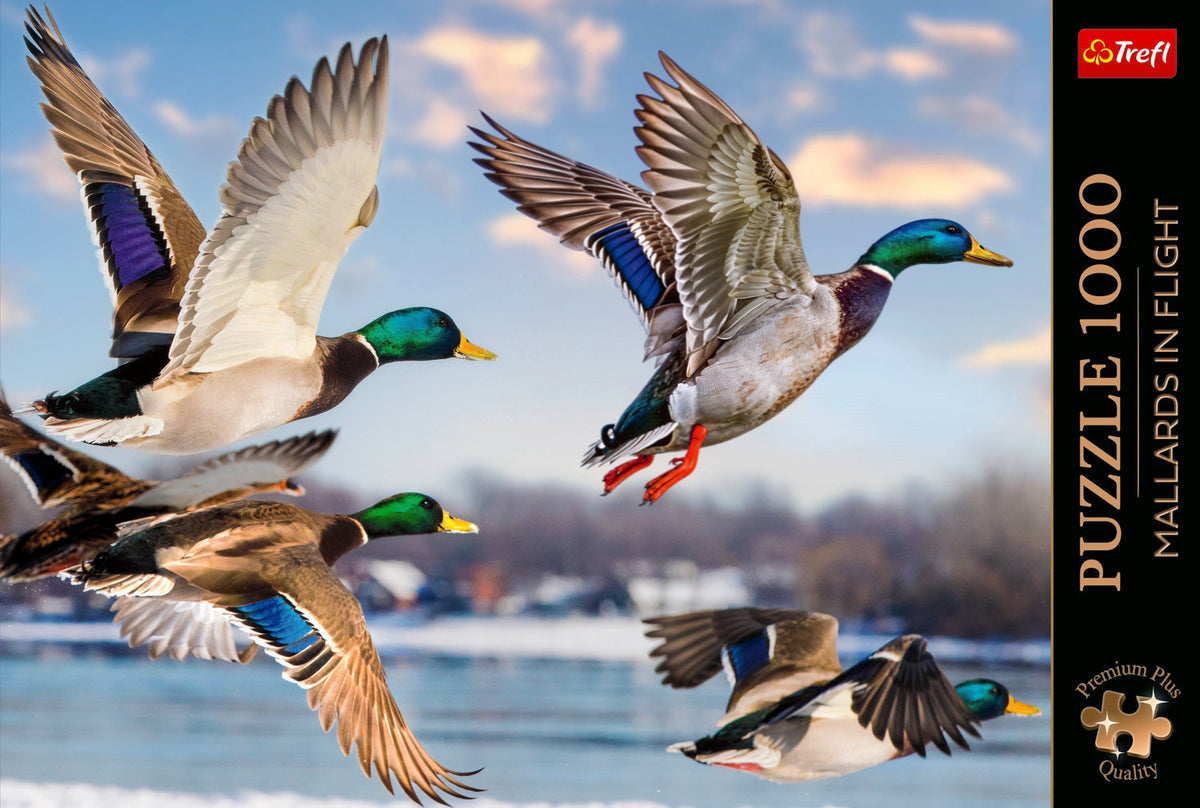 Premium Plus Mallards In Flight 1000 Piece Puzzle