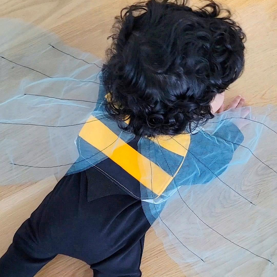 Bumble Bee Wings