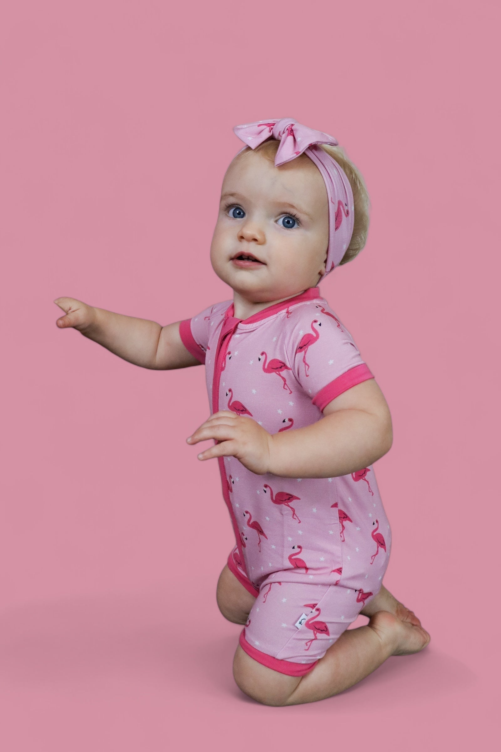 Flocking Flamingos Dream Shortie