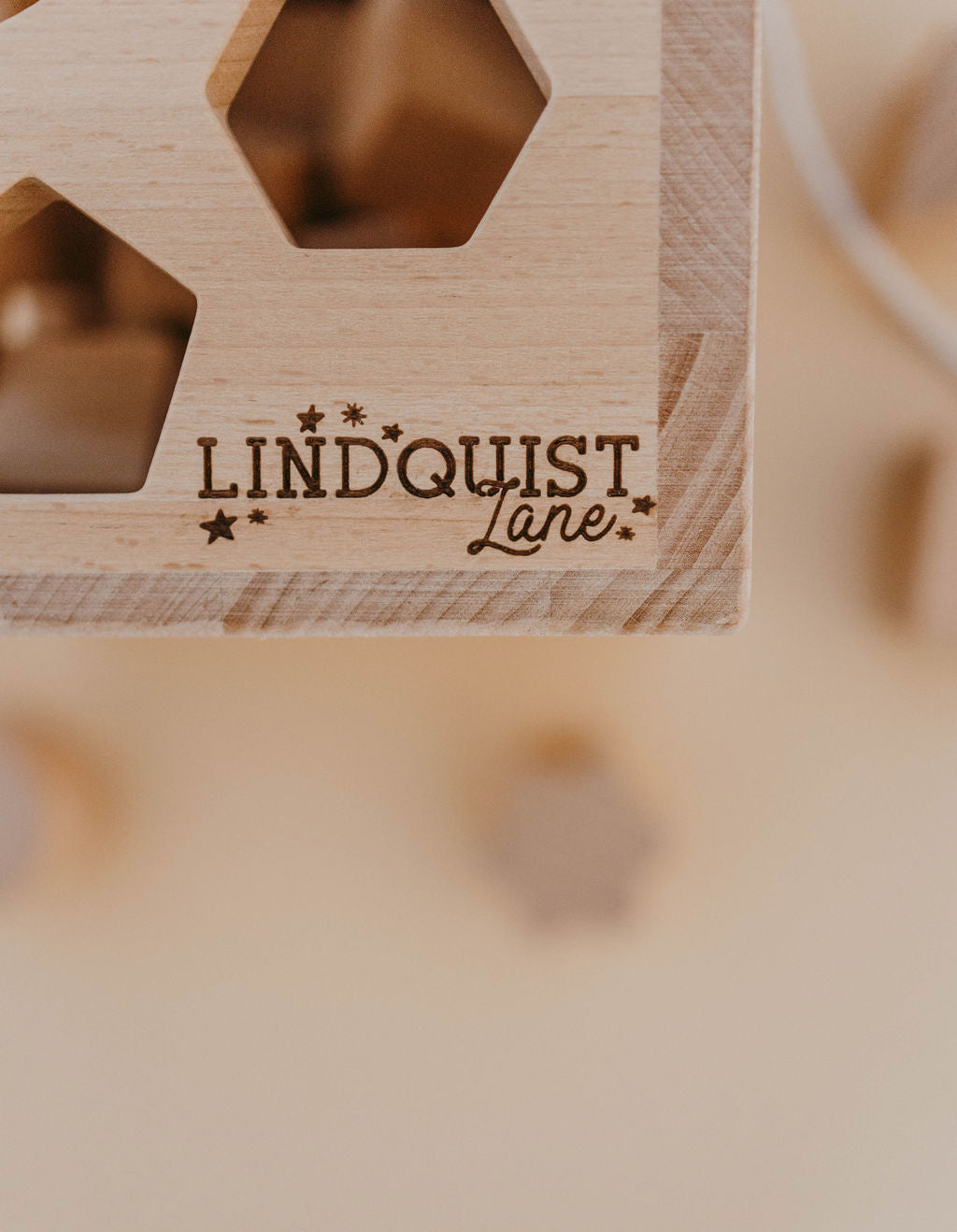 Solid Wood Intelligence Shape Sorting Box