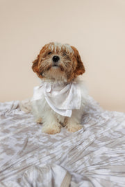 Sandy Shores Dream Dog Bandana