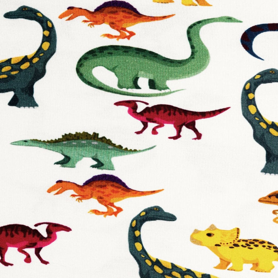 Dino Dreamers Pajama Bundle