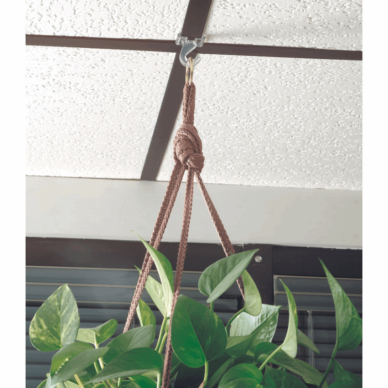 Ceiling Hooks, 6 Pack