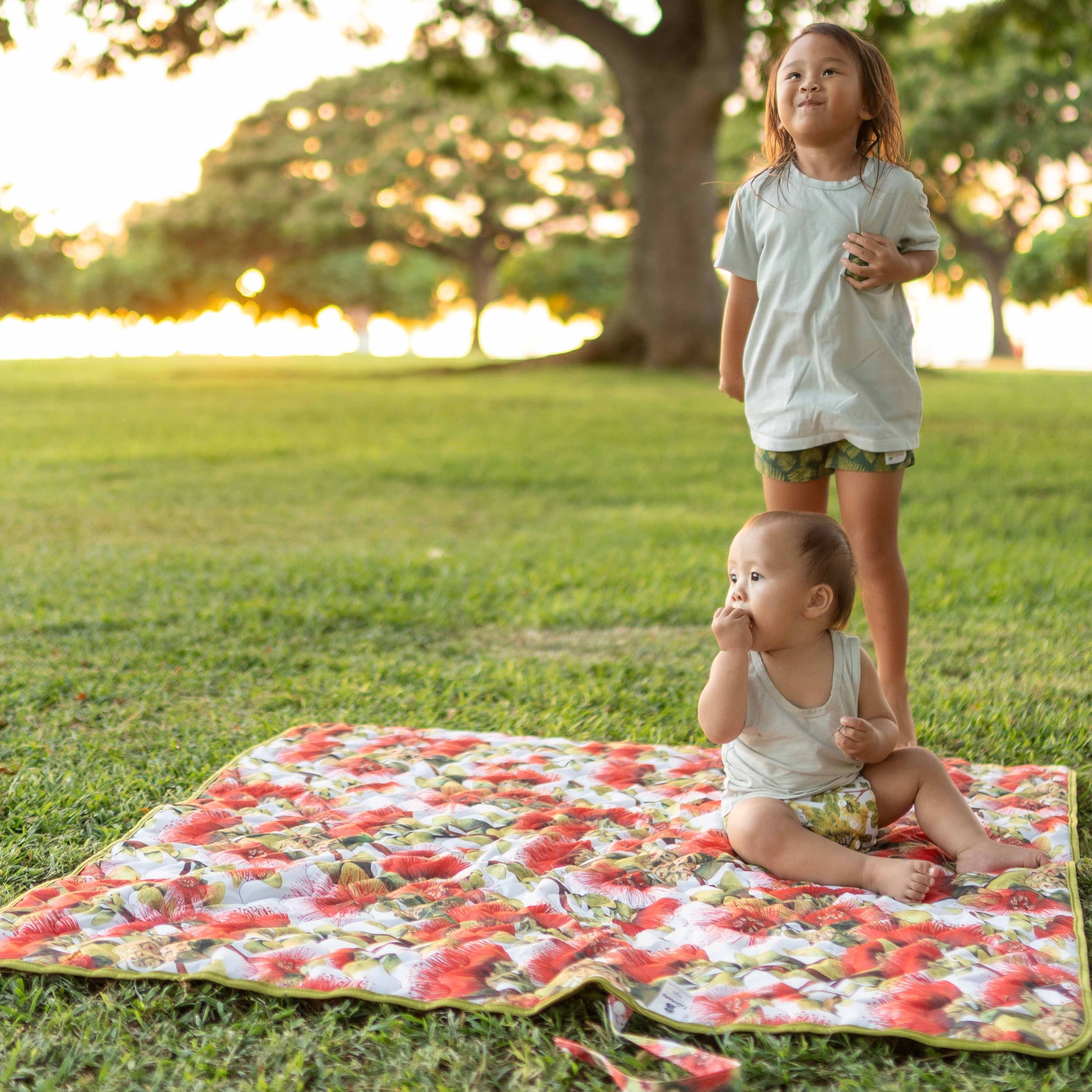 Moena Pāʻani (play Mat)