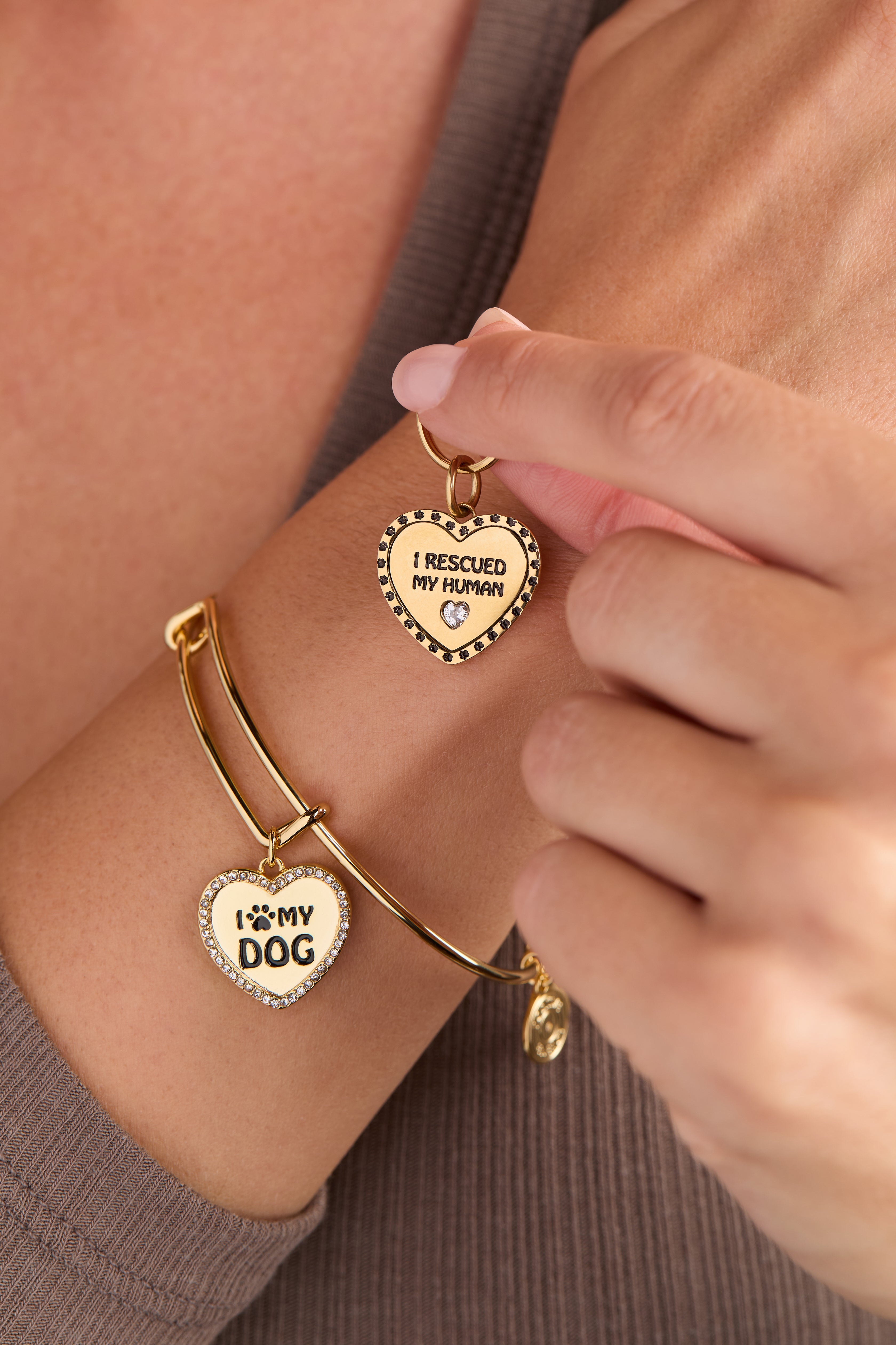'i Love My Dog' Bangle & Pet Collar Charm Set Of 2
