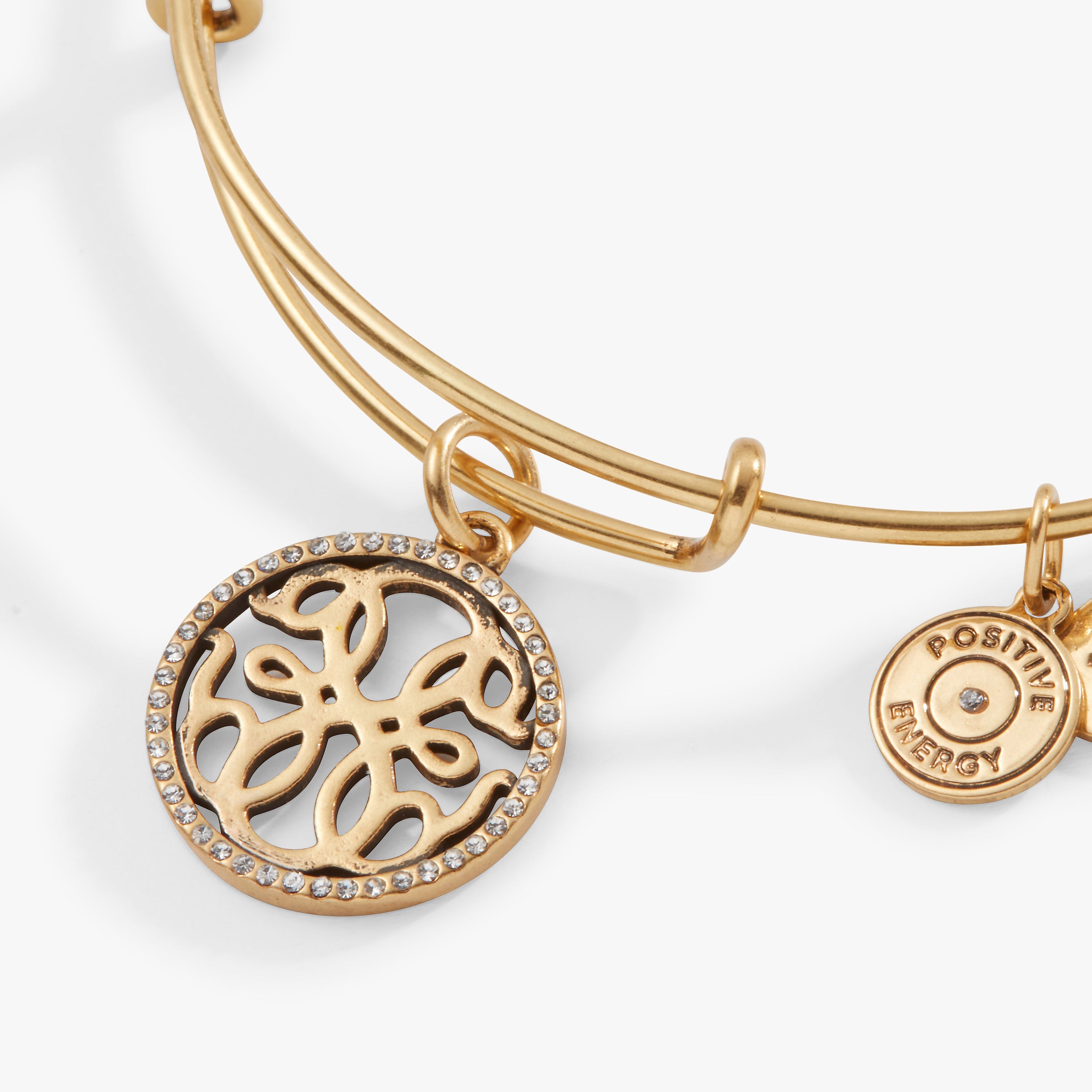 Path Of Life Charm Bangle