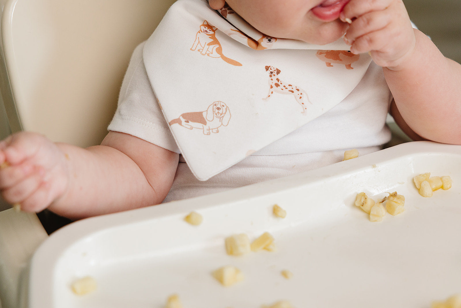Organic Pima Cotton Bandana Bib