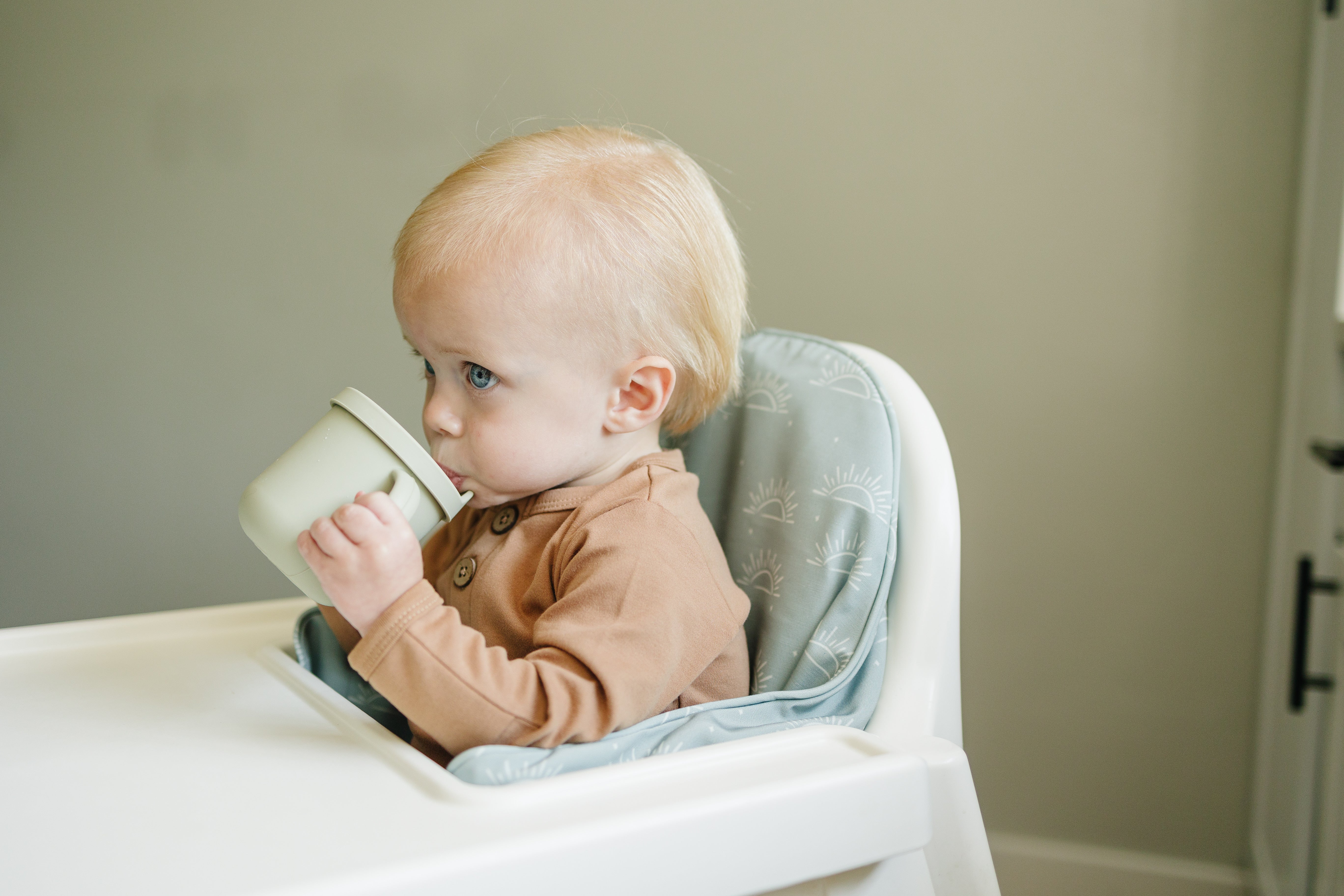 Sage Suns Ikea Antilop Cushion Cover