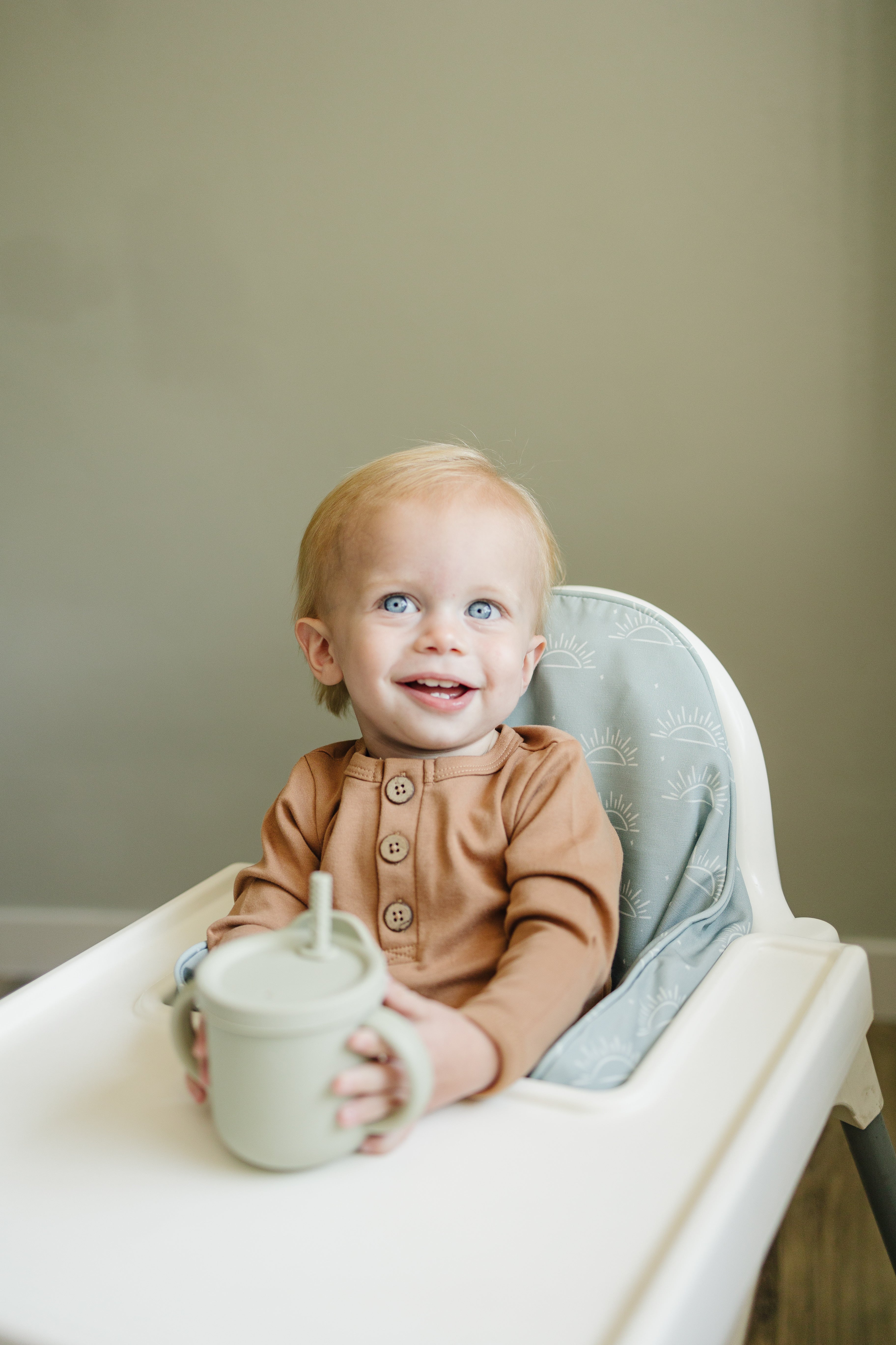 Sage Suns Ikea Antilop Cushion Cover